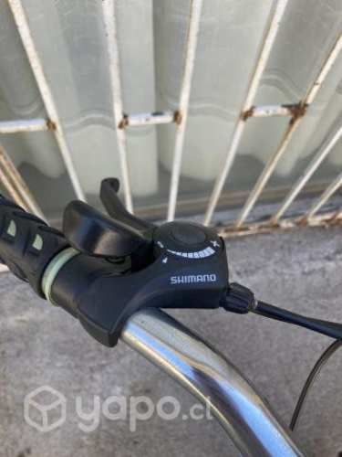 Bicicleta bianchi classic mujer