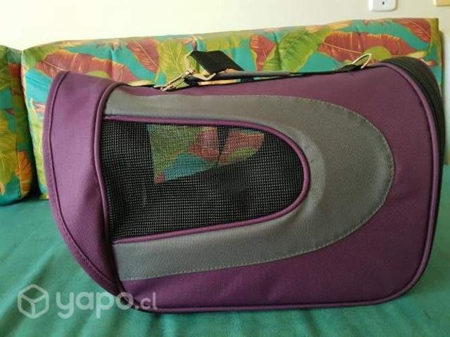 Canil blando cabina avion