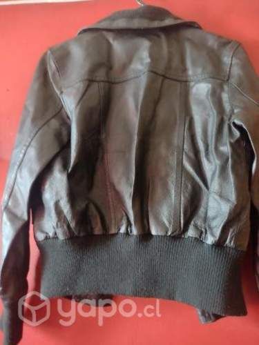 Chaqueta de Cuero Regatta