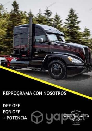 Eliminacion Adblue/scr, DPF, EGR