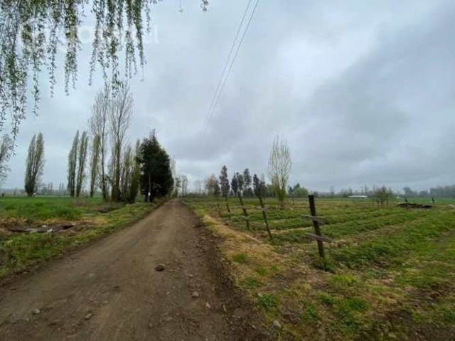 parcela de agrado de 5.000 mts