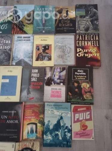 Lote de libros