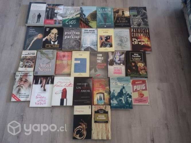 Lote de libros