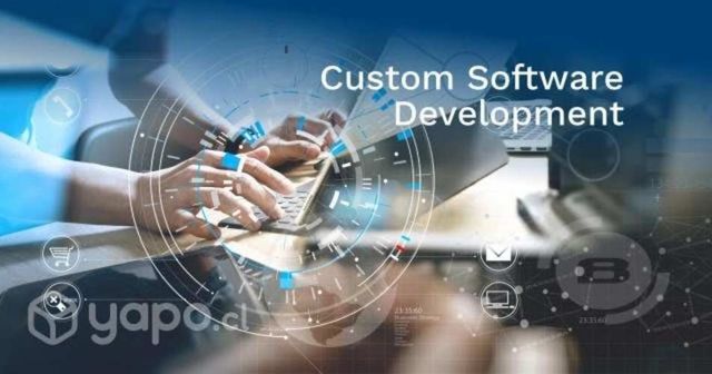 Desarollo de Software - Desarrollo Web