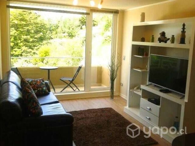 Dueño depto en Puerto Varas Condominio