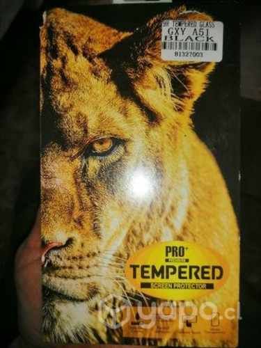 Protector de pantalla GXY A51 BLACK