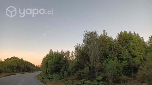 Terrenos Chiloé Orilla Rio Bosque Nativo