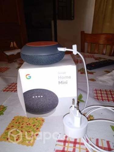 Mini Google home