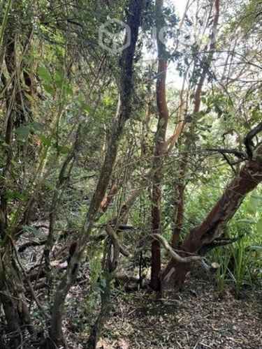 Parcelas con borde de río en Frutillar