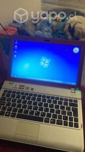 Netbook Sony