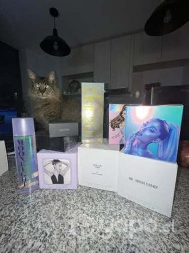 Perfumes en conce