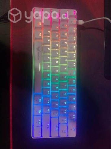 Teclado Mecanico Pegasum