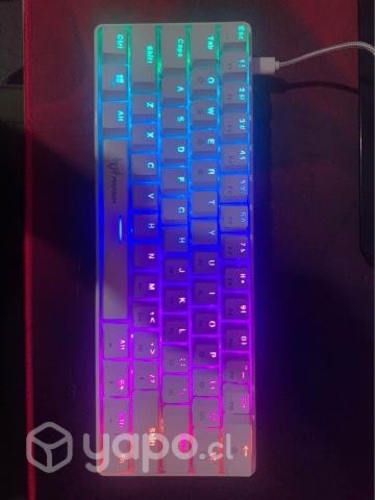 Teclado Mecanico Pegasum