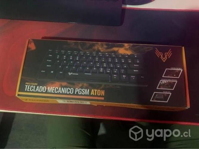 Teclado Mecanico Pegasum