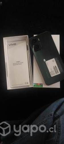 Celular vivo Y16