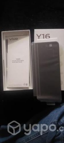 Celular vivo Y16