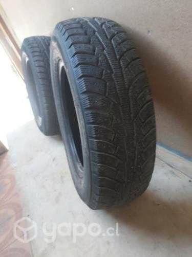 Par de neumaticos