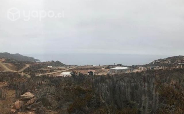 Gran terreno en El Arrayan costero