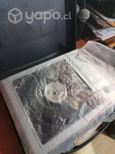 Cocinilla Gas 1 Plato Frontera