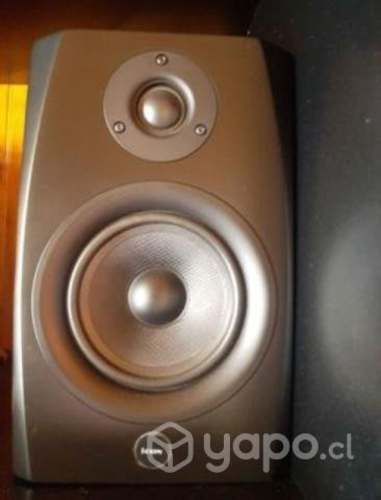 Monitores de estudio Icon (par)