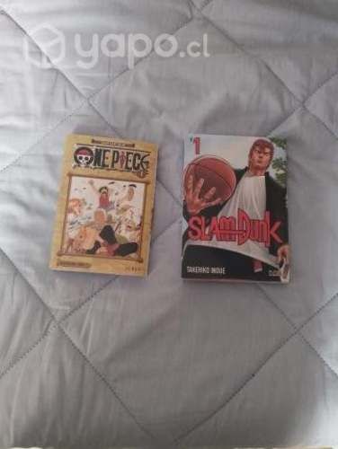 Mangas precio conversable