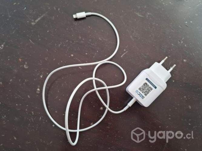 Cargador iphone
