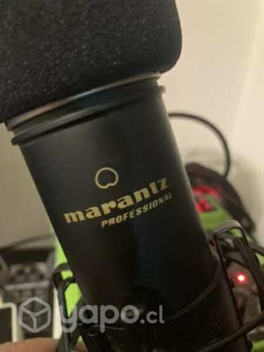 Interfaz más micrófono