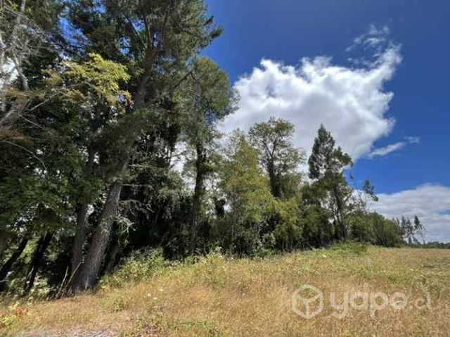 Parcela Freire Villarrica