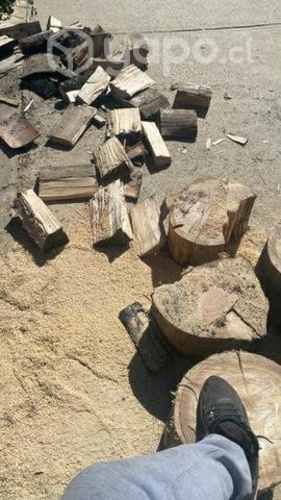 Se ofrece para flete corte de pasto desmalezado