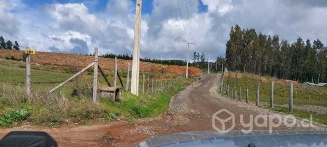 Hermoso Terreno, Tomé, sector Lloicura