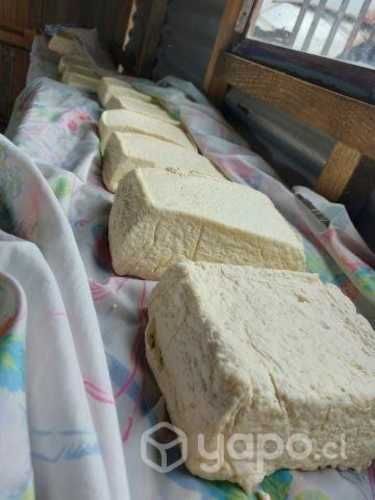 Quesos frescos de la zona