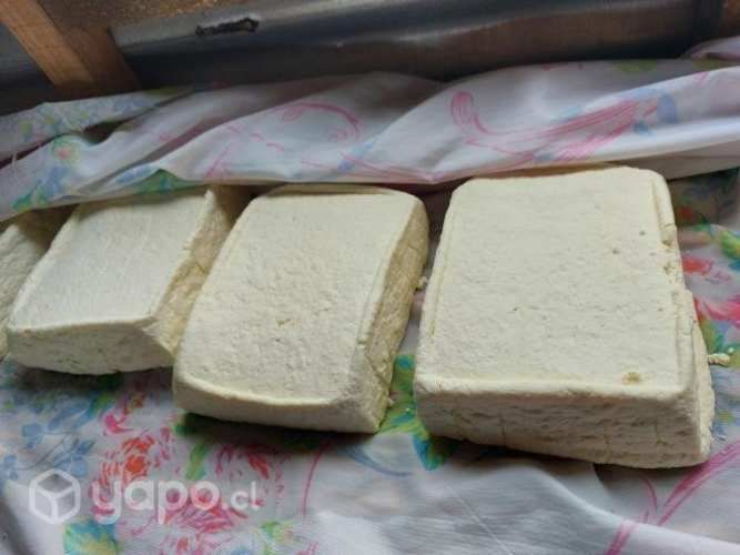 Quesos frescos de la zona