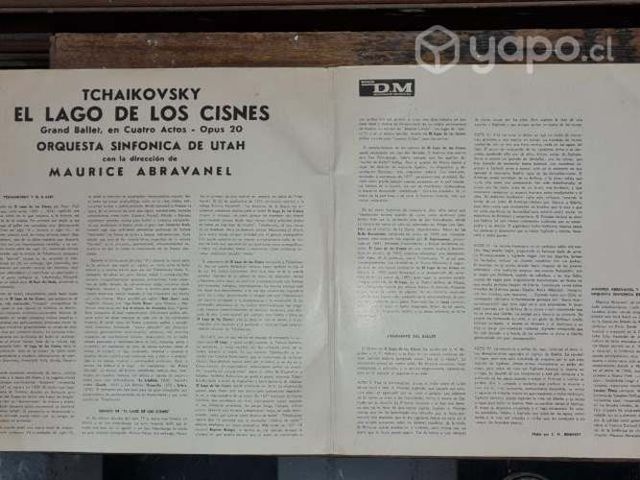 Vinilo lago de los cisnes