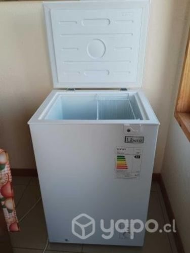 Conservadora de alimentos libero 90 lts