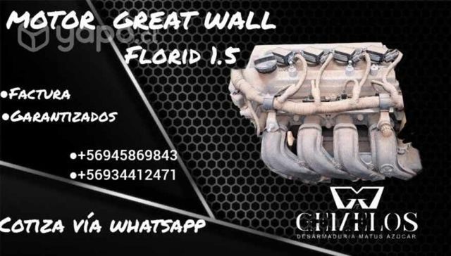 Motor Great wall florid