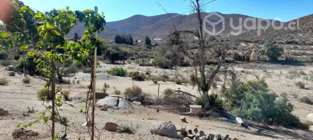 Terreno de 8,5 hectareas