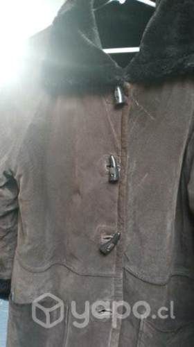 Hermoso gamulan dama y más.