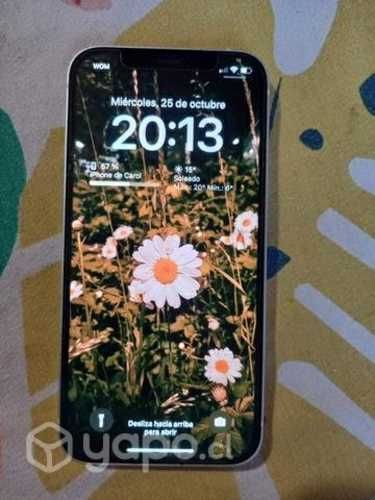 Iphone 12 usado