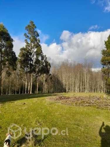 Parcela de 1 ha en venta en sector Chapaco, Rio Negro