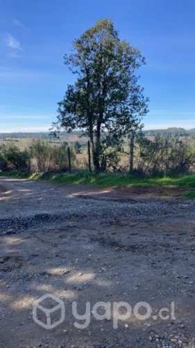 Parcela en Rahuil comuna de florida