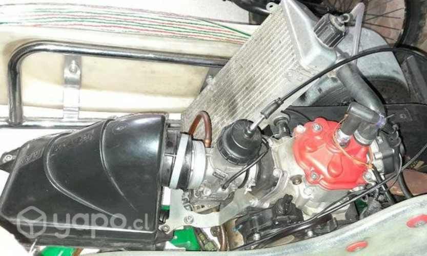 Motor Rotax 125cc Evo