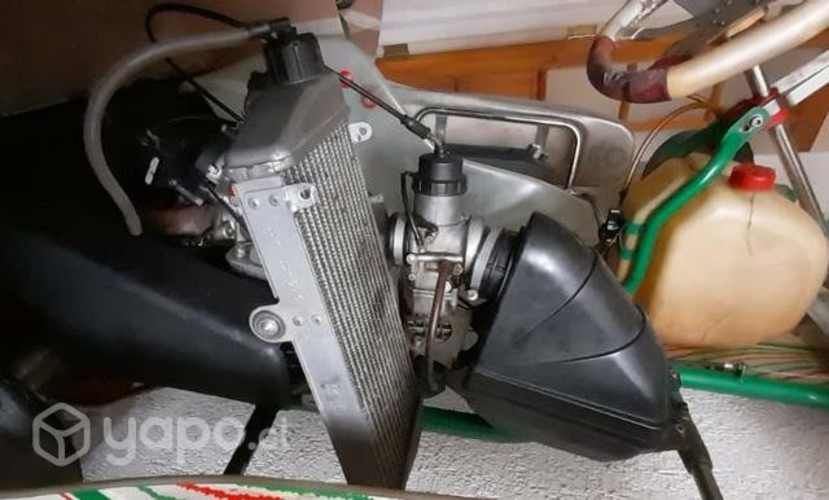 Motor Rotax 125cc Evo