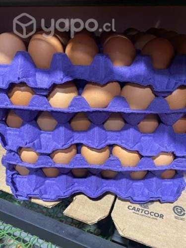 Vendó palta huevo mermelada y aceitunas