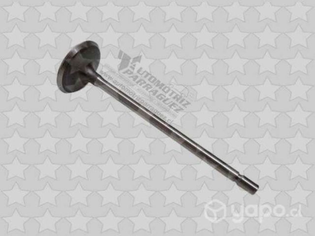 Valvula admision Platina, Megane, Duster, otros (1