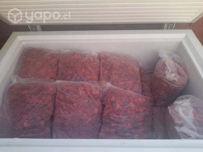 Frambuesas y Arandanos Congelados