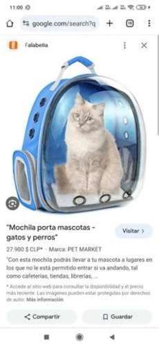 Mochila porta gato con ventana