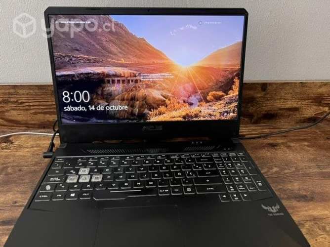 Notebook Games Asus TUF FX505DD-BQ161T