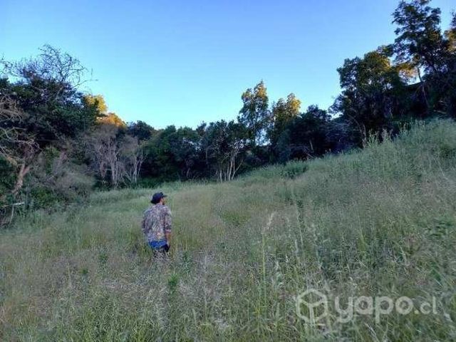 Parcela litueche en venta
