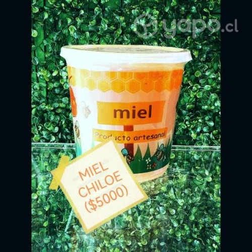 MIEL Chiloé