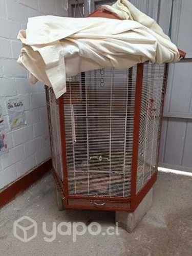 jaula grande y linda